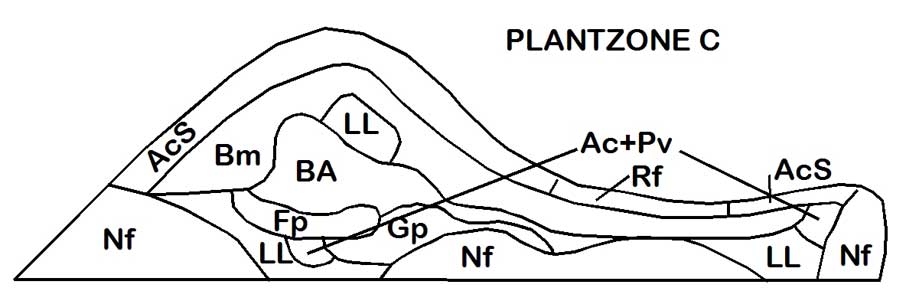 plantzone c