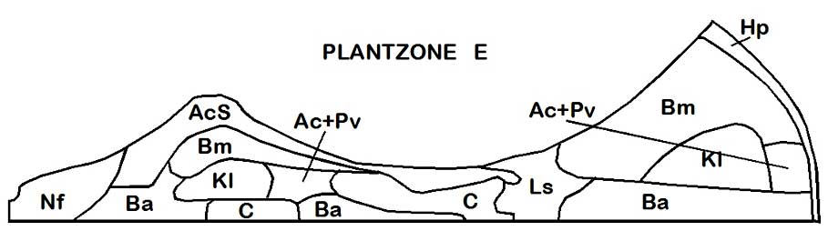 plantzone e