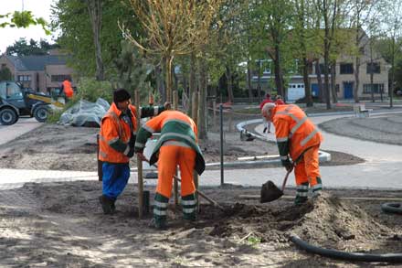 boom planten