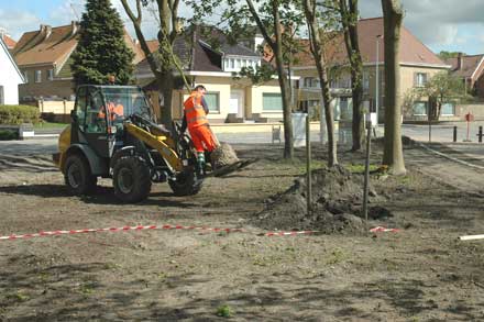 boom planten