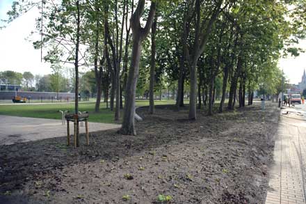 aanplanten zijberm