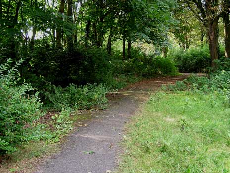 overwoekerde wandelpaden