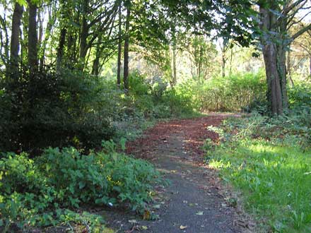 overwoekerde wandelpaden