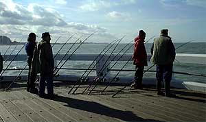 vissen met molen