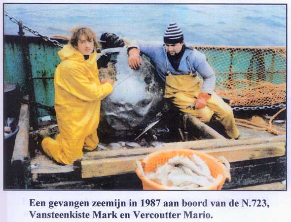 opvissen van een zeemijn