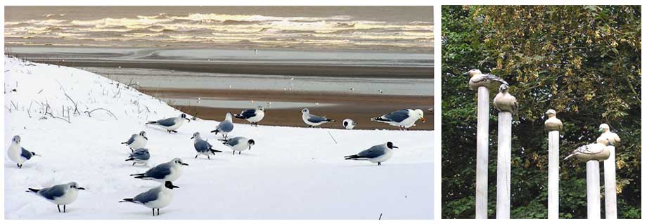 in de sneeuw en de kunst