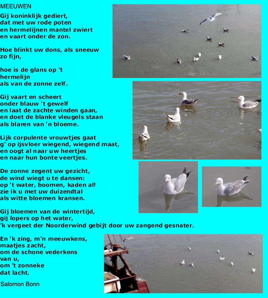 collage gedicht - dobberende meeuwen