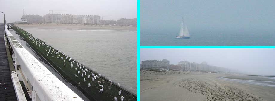 collage zeilboot op zee - staketsel - strand