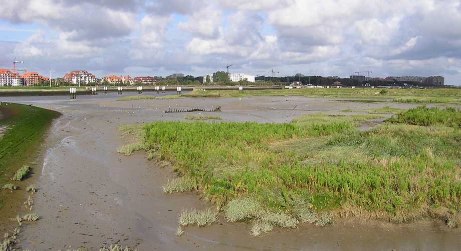 zicht op natuurreservaat vanaf de paerking Halve Maanstraat