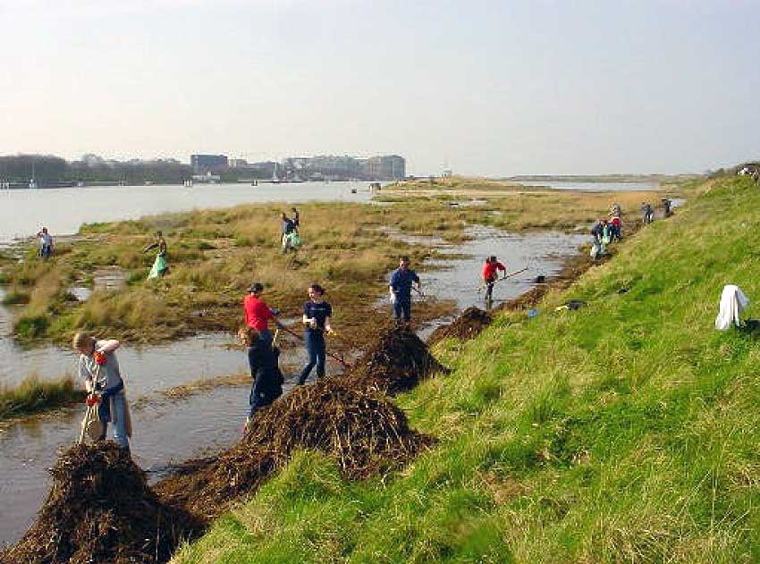 Opruimen van het reservaat jaar 2002