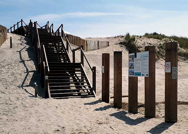 houten overgang duinen