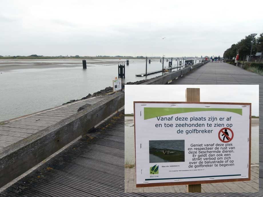 infoplaat langs de wanelweg met melding waarneming van zeehonden