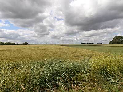 polders