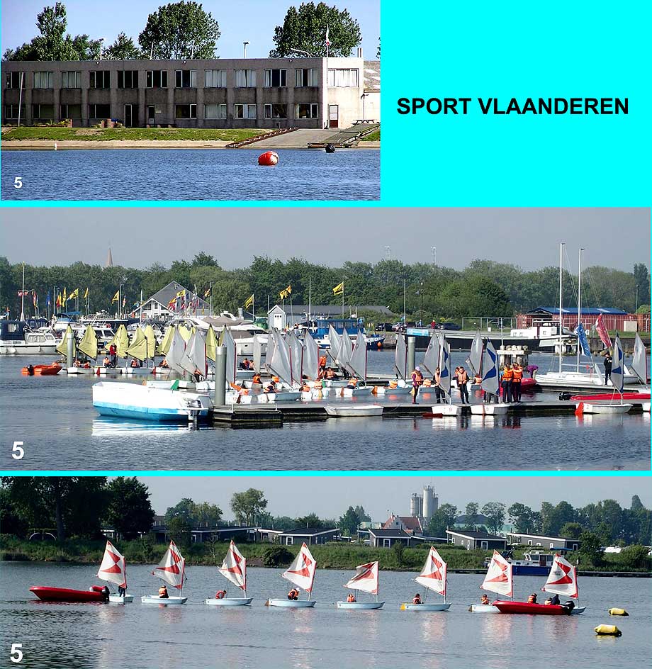 collage sport vlaanderen