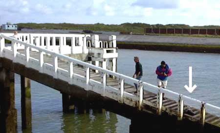 zeehond rustend op de traphelling