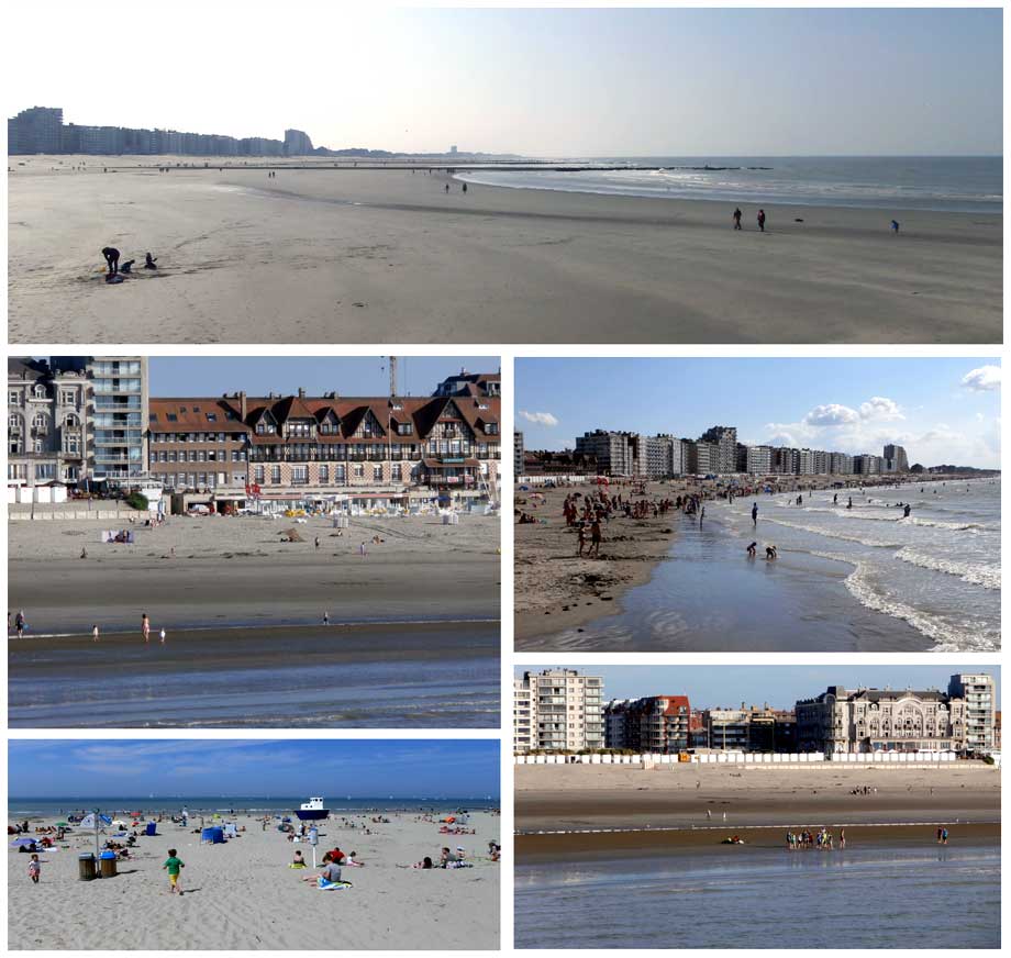 collage strand