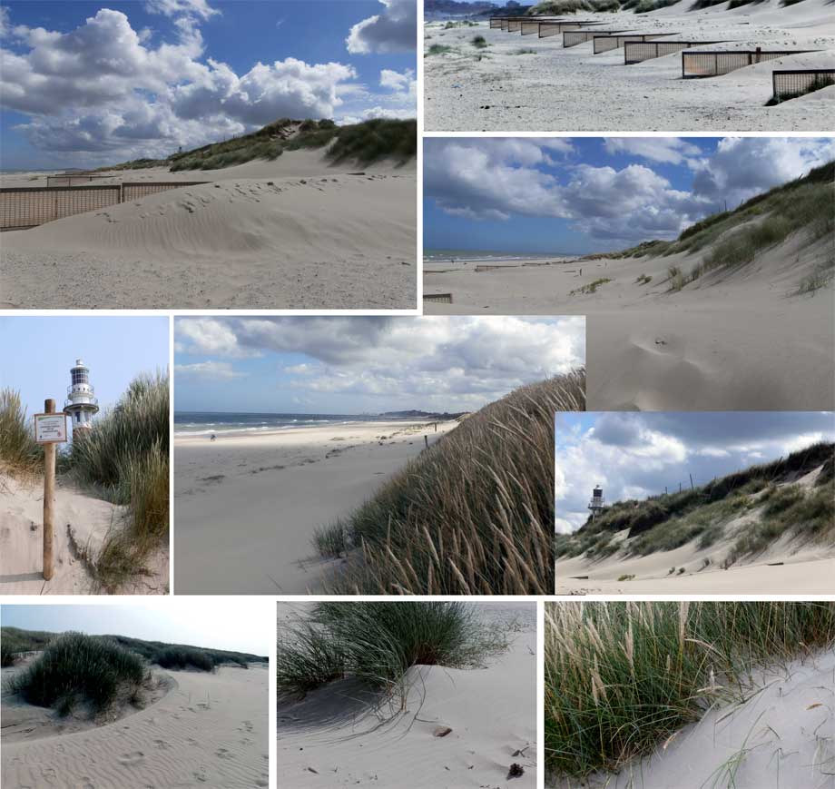 collage opgespoten strand en aanleg duinen
