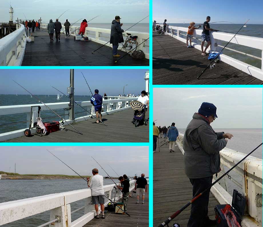 collage vissers bij elk weer over de over het ganse staketsel