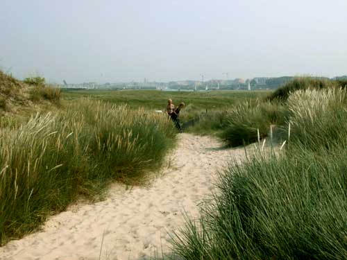 zivht op net natuurreservat van op de duintop