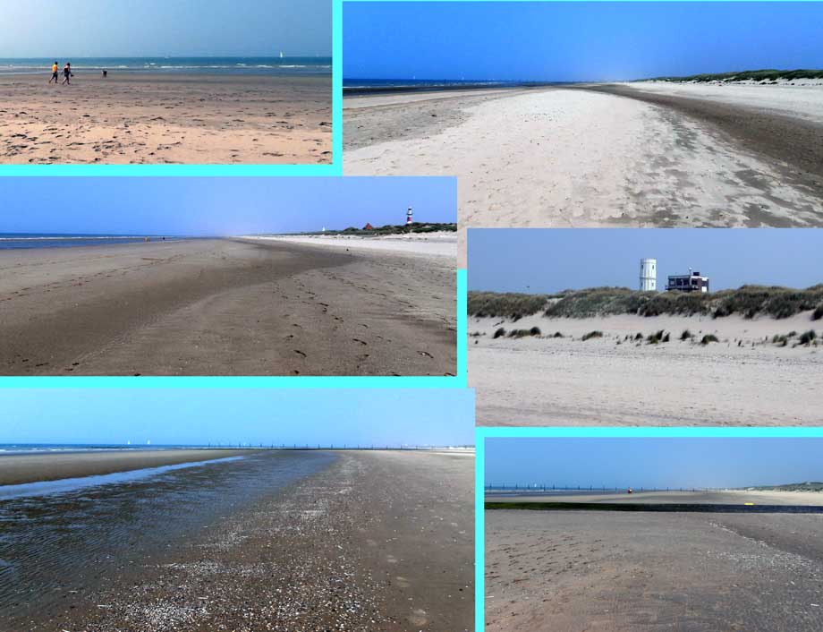 collage strandfoto's