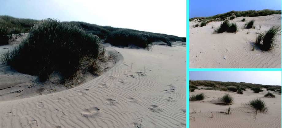 collage duinen