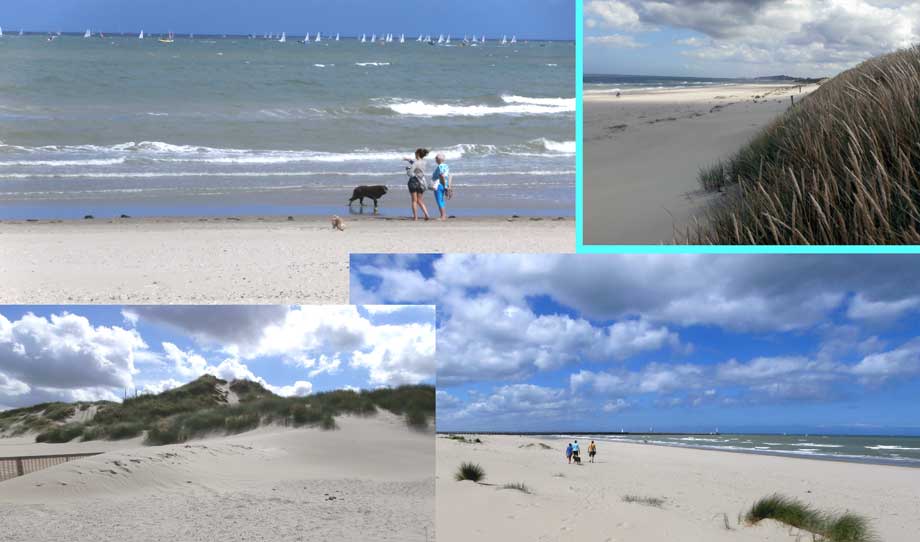 collage strand en duinen