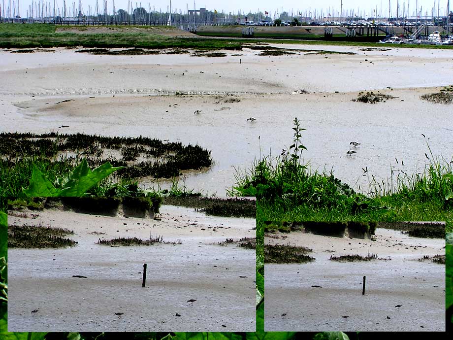 Zichten van uit de kijkhut "De Zeehond"